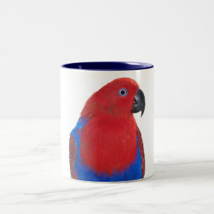 Vrouw Eclectus 11oz Tweekleurige Koffiemok