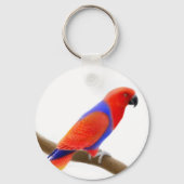 Vrouw Eclectus Parrot Sleutelhanger (Voorkant)