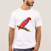 Vrouw Eclectus Parrot T-Shirt (Voorkant)