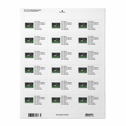 Vrouw Elk Afbeelding Etiket (Full Sheet)