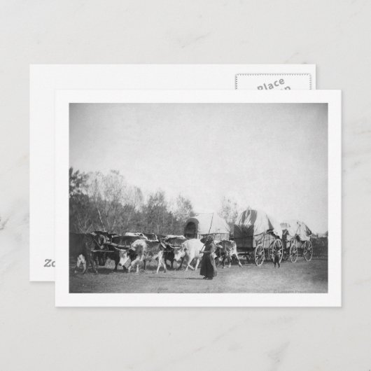 Vrouw en jongen met bultrugaars in Ox Train Briefkaart (Voorkant / Achterkant)