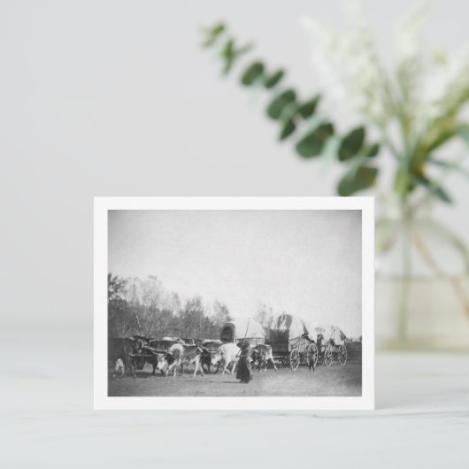 Vrouw en jongen met bultrugaars in Ox Train Briefkaart (Staand voorkant)