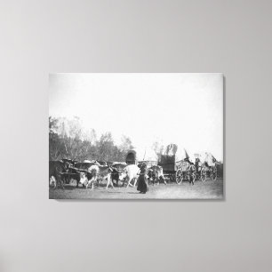 Vrouw en jongen met bultrugaars in Ox Train Canvas Afdruk