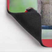 Vrouw- en mannenkardinalen in Bird Feeder Mousepad Muismat (Hoek)