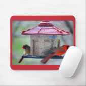 Vrouw- en mannenkardinalen in Bird Feeder Mousepad Muismat (Met muis)