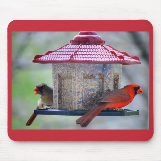 Vrouw- en mannenkardinalen in Bird Feeder Mousepad Muismat (Voorkant)