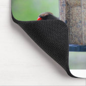 Vrouw- en mannenkardinalen in Bird Feeder Mousepad Muismat (Hoek)
