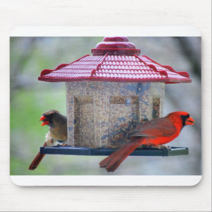 Vrouw- en mannenkardinalen in Bird Feeder Mousepad Muismat