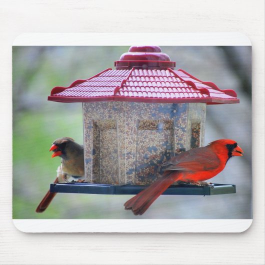 Vrouw- en mannenkardinalen in Bird Feeder Mousepad Muismat (Voorkant)
