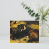 Vrouw en paarden briefkaart (Staand voorkant)