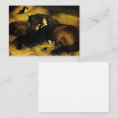 Vrouw en paarden informatiekaartje (Voorkant / Achterkant)