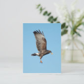 Vrouw Everglades Kite Briefkaart (Staand voorkant)
