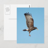 Vrouw Everglades Kite Briefkaart (Voorkant / Achterkant)
