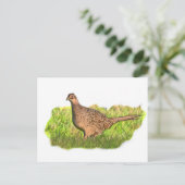 Vrouw fazant in gras briefkaart (Staand voorkant)