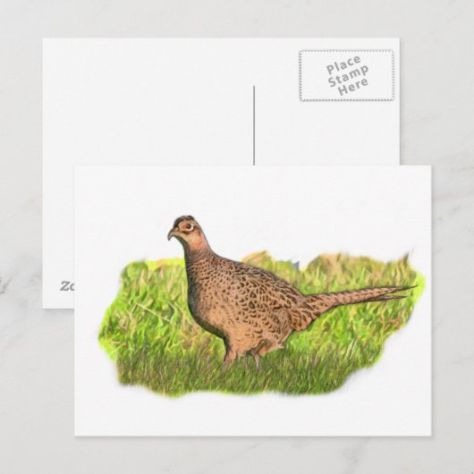 Vrouw fazant in gras briefkaart (Voorkant / Achterkant)