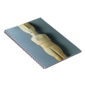 Vrouw figine, vroege Cycladic, c.2800-2300 BC (m Notitieboek (Rechterzijde)