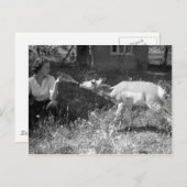 Vrouw flesje voedt een antilope. briefkaart (Voorkant / Achterkant)