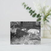 Vrouw flesje voedt een antilope. briefkaart (Staand voorkant)