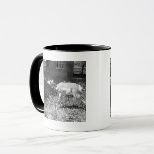 Vrouw flesje voedt een antilope. mok (Voorkant links)