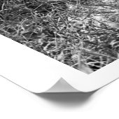 Vrouw flesje voedt een antilope. poster (Hoek)