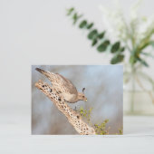 Vrouw Gambel's Quail Briefkaart (Staand voorkant)