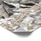 Vrouw Gambel's Quail Poster (Hoek)