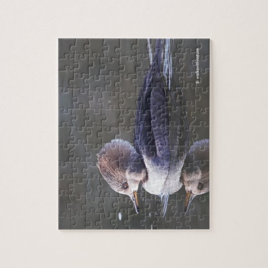 Vrouw Geboste Merganser Duck bij de Pond Legpuzzel (Verticaal)