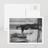 Vrouw Gedprezen als Man met fietsfoto Briefkaart (Voorkant / Achterkant)