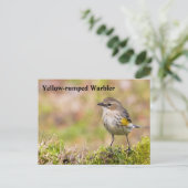 Vrouw Gele-bruine Warbler Briefkaart (Staand voorkant)