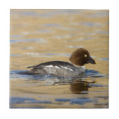 Vrouw gewone Goldenoogeend Tegeltje (Voorkant)