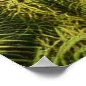 Vrouw gezicht met floral n peace-ock veren poster (Hoek)