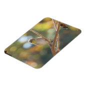 Vrouw Goldfinch Magnet Magneet (Linkerzijde)