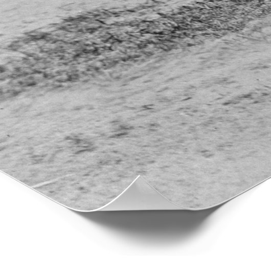  vrouw Golfing, jaren 1910 Poster (Hoek)