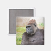 Vrouw Gorilla Magneet (Voorkant / Achterkant)