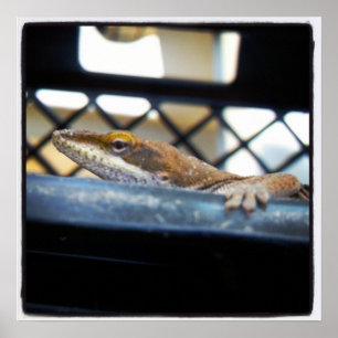 Vrouw Green Anole Lizard Foto Poster