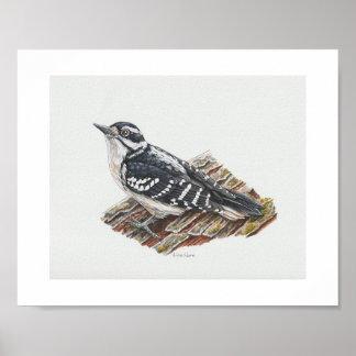 Vrouw harige specht kunst print