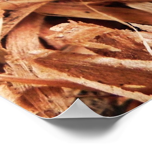 Vrouw hobo spin poster (Hoek)