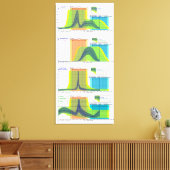 Vrouw hormonen regelen menstruatiecyclus canvas afdruk (Insitu (Woonkamer))