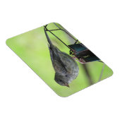 Vrouw House Sparrow Magnet Magneet (Rechterzijde)