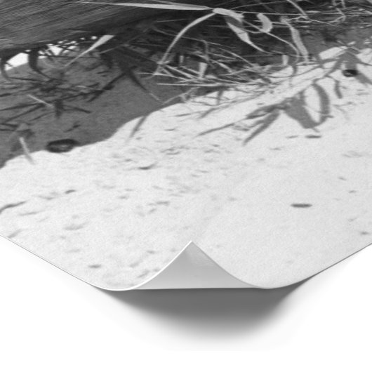 Vrouw in Bikini Poster (Hoek)