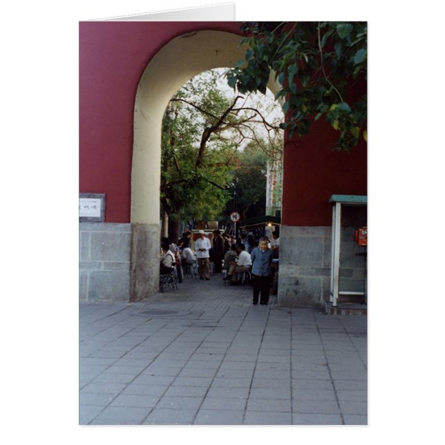 Vrouw in een Archway (Voorkant)