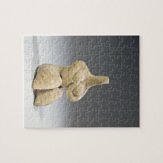 Vrouw in Halaf stijl, c.4500 BC (ter) Legpuzzel (Horizontaal)