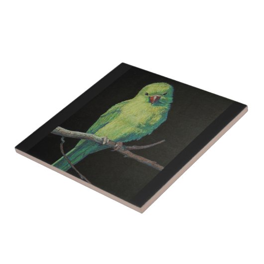 Vrouw Indische ringnek Parrot Tegeltje (Zijkant)