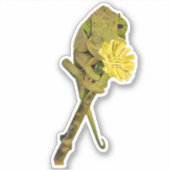 Vrouw Jackson’s Chameleon Sticker (Voorkant)