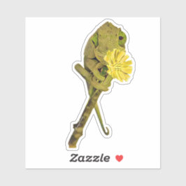 Vrouw Jackson’s Chameleon Sticker