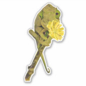 Vrouw Jackson's Chameleon Sticker (Voorkant)