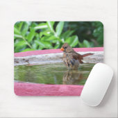 Vrouw Kardinaal bij Birdbath Muismat (Met muis)