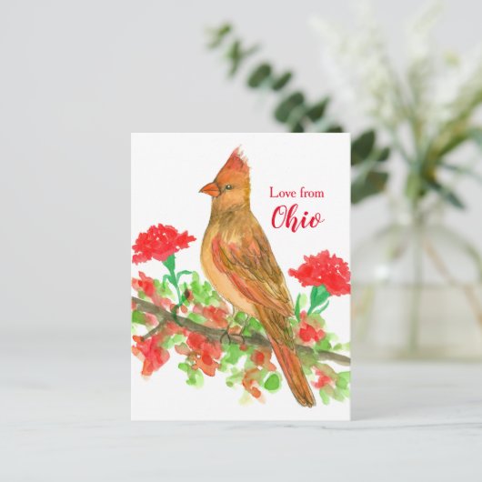 Vrouw kardinaal Bird Love uit Ohio Briefkaart (Staand voorkant)