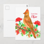 Vrouw kardinaal Bird Love uit Ohio Briefkaart (Voorkant / Achterkant)