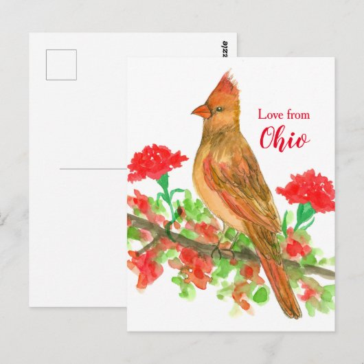 Vrouw kardinaal Bird Love uit Ohio Briefkaart (Voorkant / Achterkant)